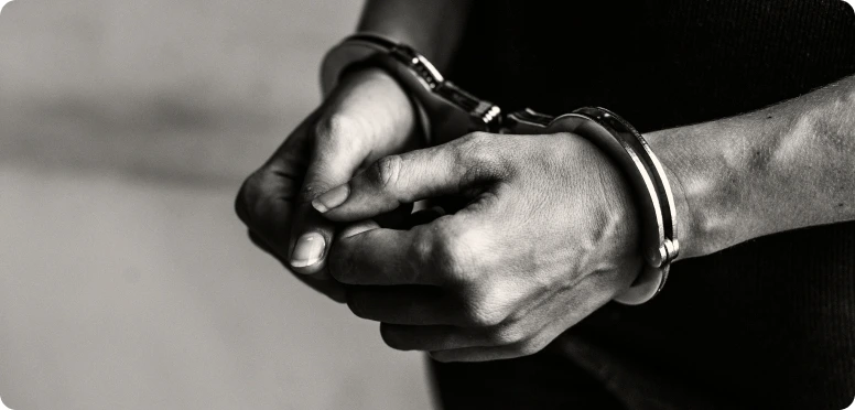 About Criminal Law Image